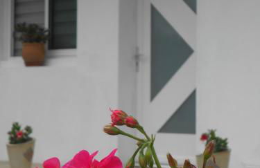 Appartement Abadie - Foto 3