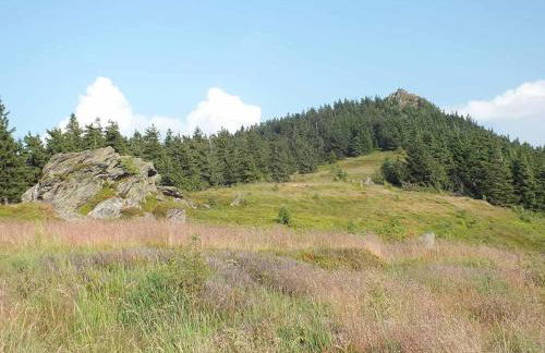 Gästehaus Schmalzreich - Foto 27