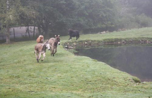 Ardgarry Farm - Photo 38