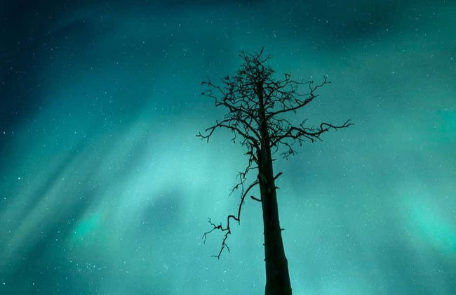 Tour de la aurora boreal por Saariselkä - Foto 1