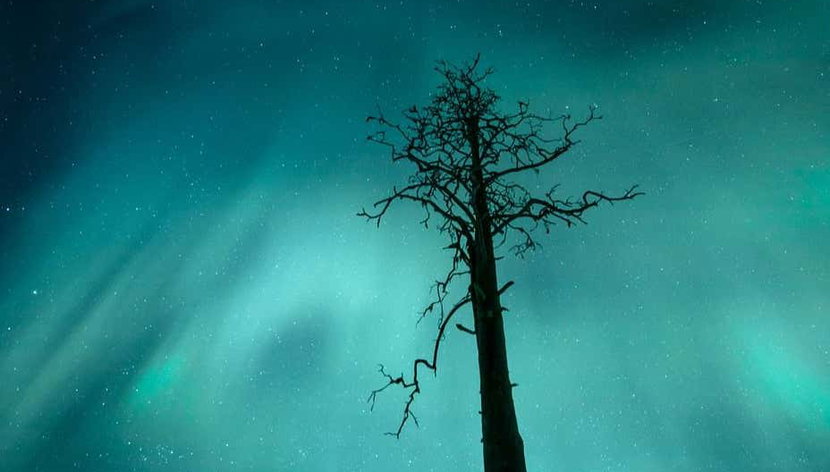 Tour de la aurora boreal por Saariselkä - Foto 2, Colores de la aurora boreal