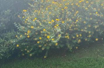 Entre mer et montagne AMA LUR - Foto 48