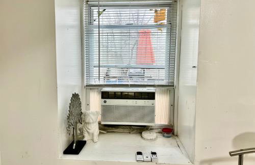 2 Bedroom Apt in LIC, Private WITH BACKYARD ! - Foto 10