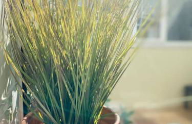 Foundry Cottage - Foto 14