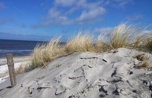 Ferien-am-Gutshof in Velgast - Ferienwohnung in Ostseenähe - Foto 28