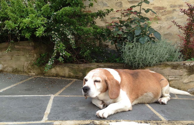 Historical Residence il Biribino 27 People - Foto 40