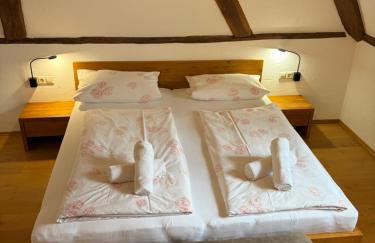 Hagnau, Irseer Hof Ferienwohnungen - Photo 23