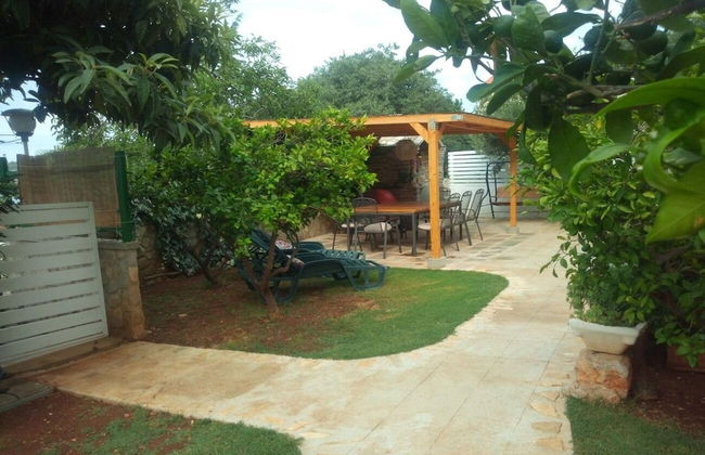 Tecupa - 50 M From the sea - A1 - Photo 19