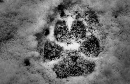 KTA TARPAN Mały Domek - Foto 2