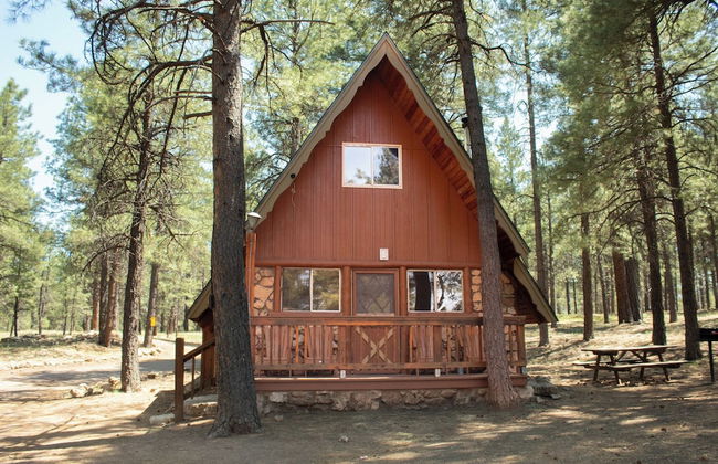 Arizona Mountain Inn and Cabins - Foto 70