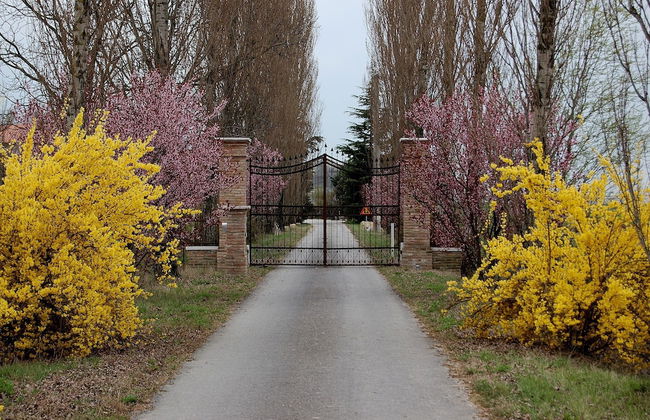 Agriturismo Corte Rocca - Foto 40