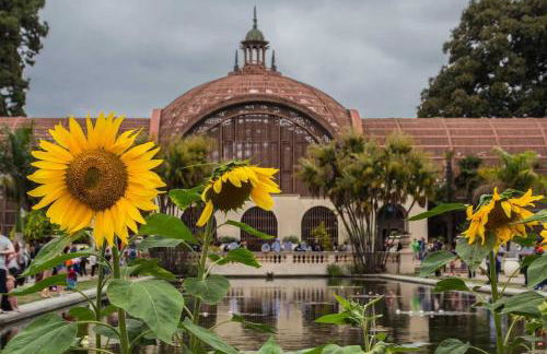 Point Loma Cozy Retreat - Spa l AC l Parking - Foto 27