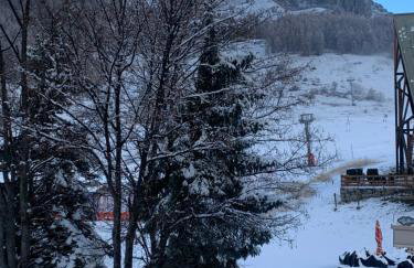 APPARTEMENT MONTAGNE - Photo 2