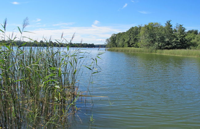 Am Pälitzsee - Foto 12