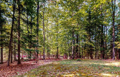 Boygan Bungalow - Foto 35