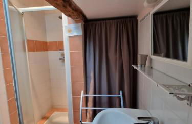 Gîte" Peau d'Ane" Zoo Parc Beauval Châteaux de la Loire 4 personnes très bien situé - Foto 10