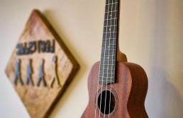 Dois Quartos, Vitrola, Coleção Vinil, próx Barigui - Foto 8