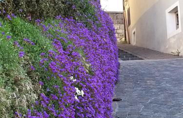 Casa Lausen - Foto 61