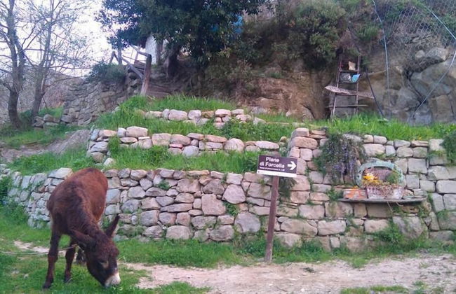 Agriturismo Arcera - Foto 36