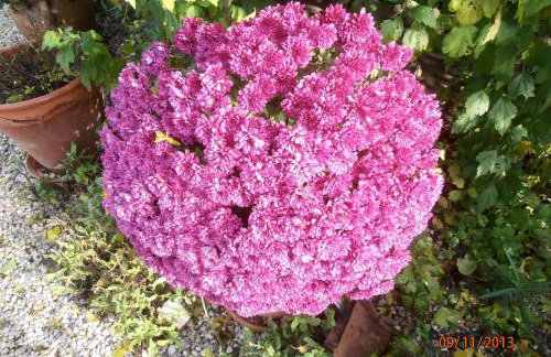 Les Galets - Foto 38