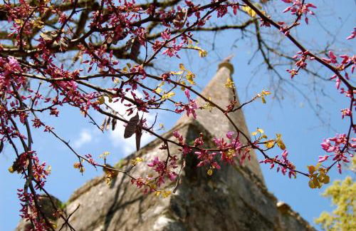 Casa da Anunciada, Countryside Retreat - Foto 24