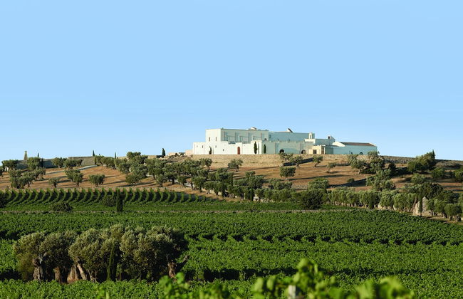 Masseria Amastuola Wine Resort - Photo 80
