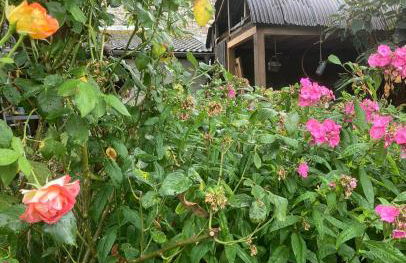 Gut Kalkhäuschen, ein Ort mit Geschichte - Foto 23