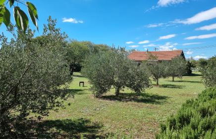 Villa Stone Medal - Photo 5