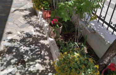 Chrysanty's tea house - Foto 53