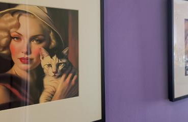 Südschwarzwald Ferienhaus für Gruppen & Monteure - Foto 26