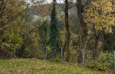 Ονειροπαγιδα - Photo 75