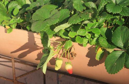 Casa Terán - Foto 21