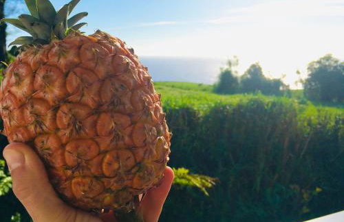 Azores Casa Atlantis - Photo 12