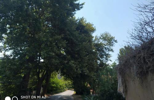 GIOTAS APARTMENTS - STUDIOS - Foto 16