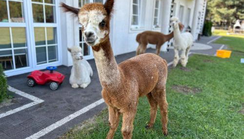 Apartamenty Góra - Foto 3