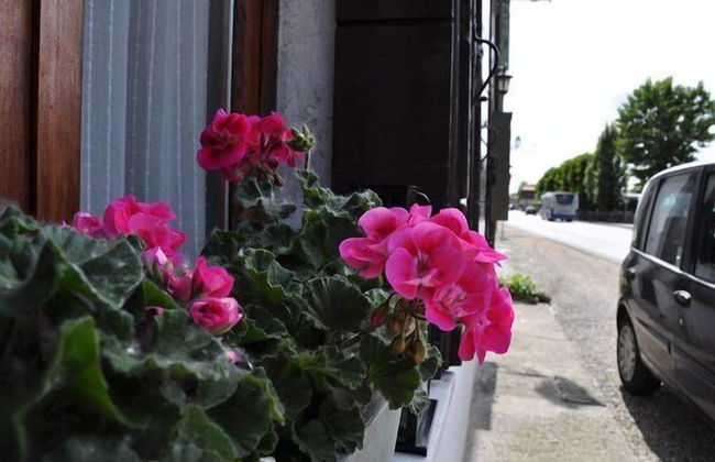 B&B River Venice - Foto 54