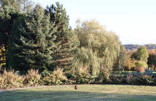 Rezydencja Pod Platanem - Photo 58