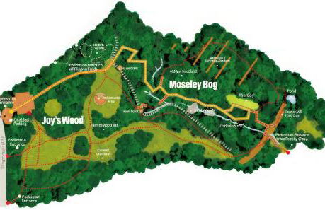 SAPPHIRE Suite Moseley Mews, Birmingham By STAE-Homes - Foto 39