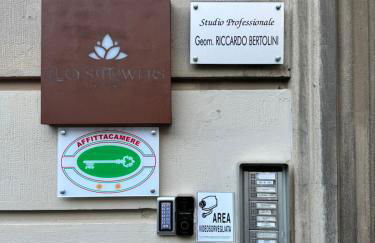 Lucy's Flowers - Photo 74