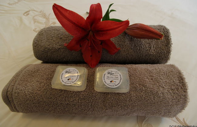 Wilger Guesthouse - Foto 47