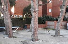 Apartamento acogedor - Foto 20