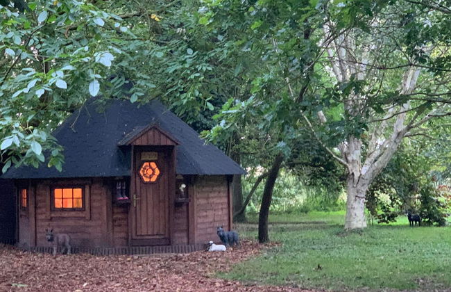 Starry Meadow - Foto 70