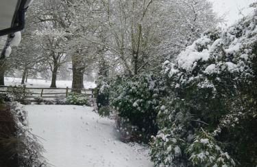 The Herons - Foto 33