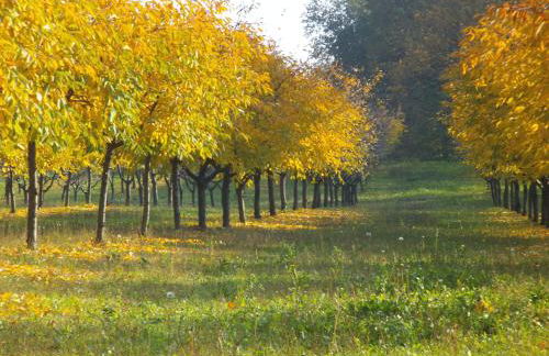Alloggio Cantalupo - Foto 8