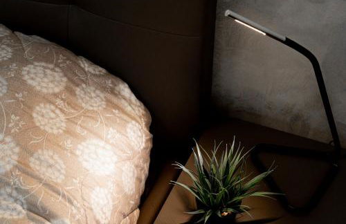 Suite Mont Blanc nel Cuore di Torino - Foto 8