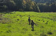 Haus Panorama mit Alpenblick - Foto 42