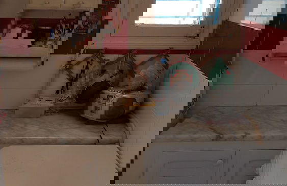 Maison coquette Sidi Bou Said - Foto 7