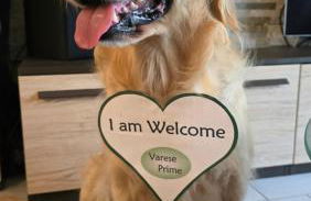 VARESE PRIME - Air Conditioning, 2 Parking, 2 Baths, City Centre, 200mt Villa Esengrini Montalbano, NO Keybox - Foto 7