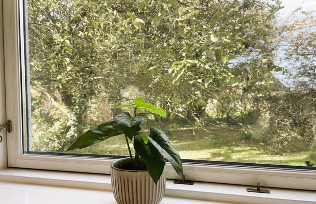 "Dana" - 525m from the sea - Foto 46