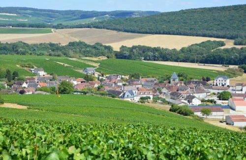 Le jardin sainte anne - Foto 20